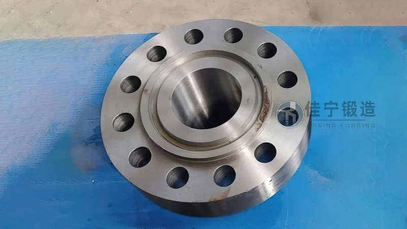 Bride DN1600 forgée - Présentation et caractéristiques avantageuses