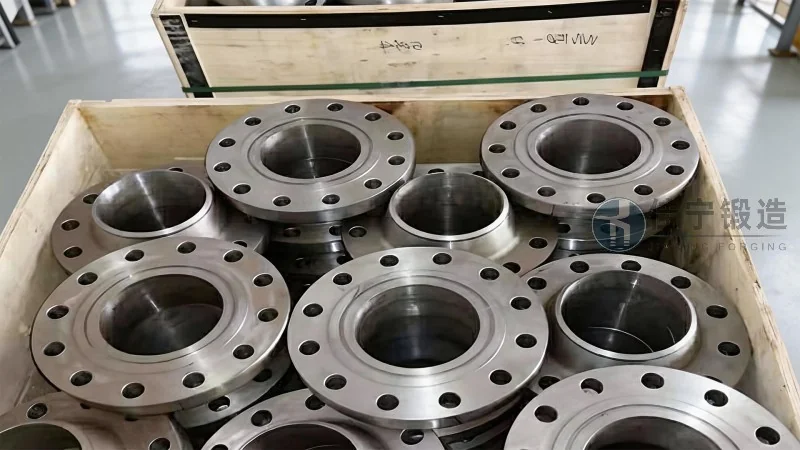 Bride de forme spéciale forgée - Présentation et caractéristiques avantageuses