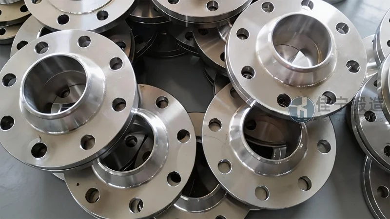Bride 310S forgée - Présentation et caractéristiques avantageuses