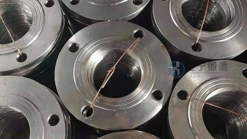 1Cr13 flange forgings