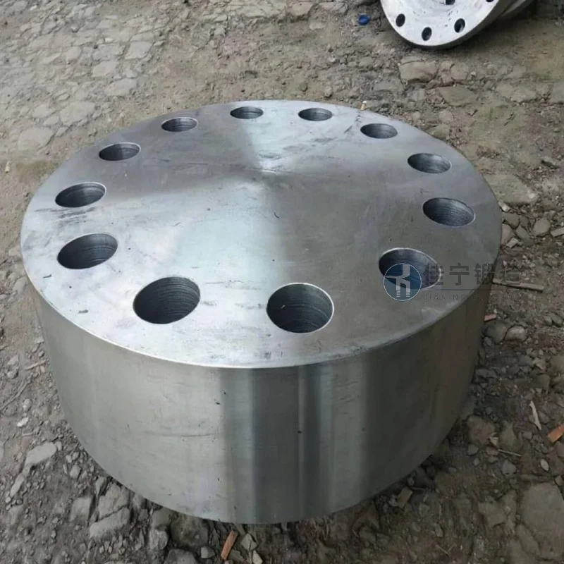 Plaque tubulaire pour trou d'homme en acier à outils - Aperçu et caractéristiques avantageuses