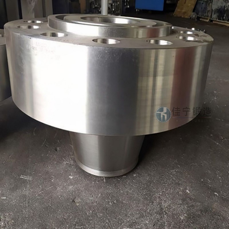 Nuclear power forgings