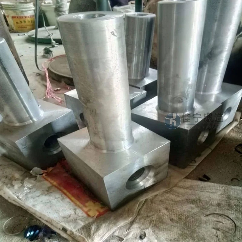 Pièce forgée pour couvercle de levage - Aperçu et avantages distinctifs