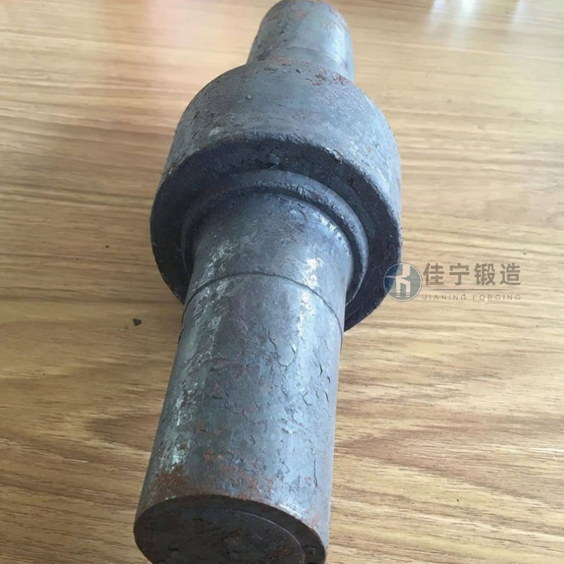 2507 Duplex Stainless Steel Forgings